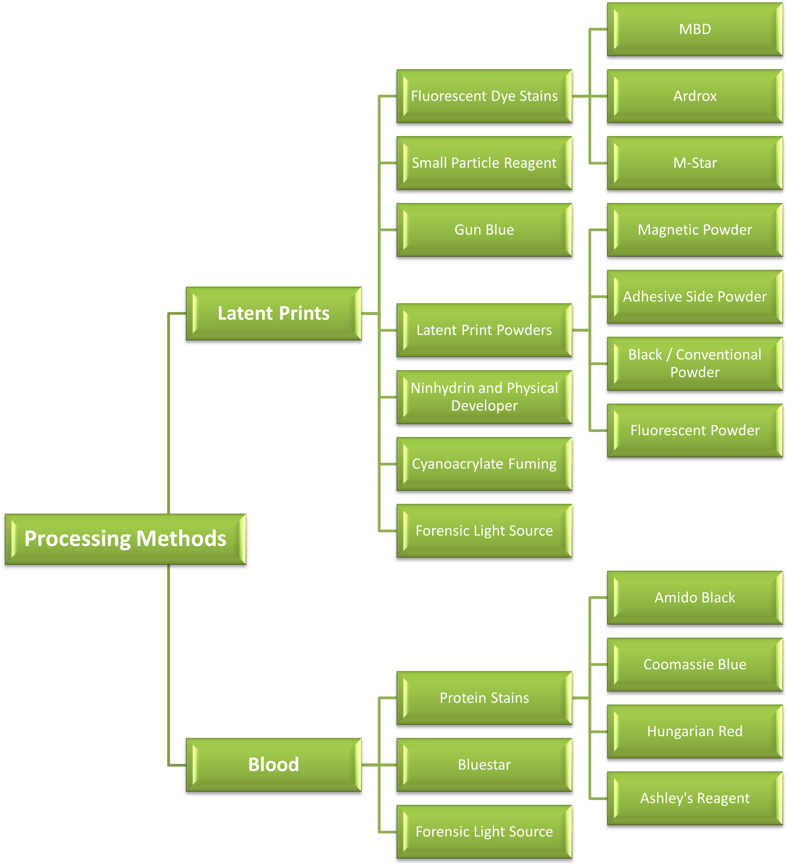 forensics - processing methods